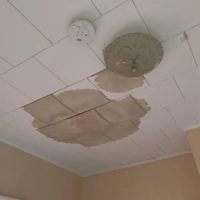 Ceiling Water Damage Repair in Fairmont, IL