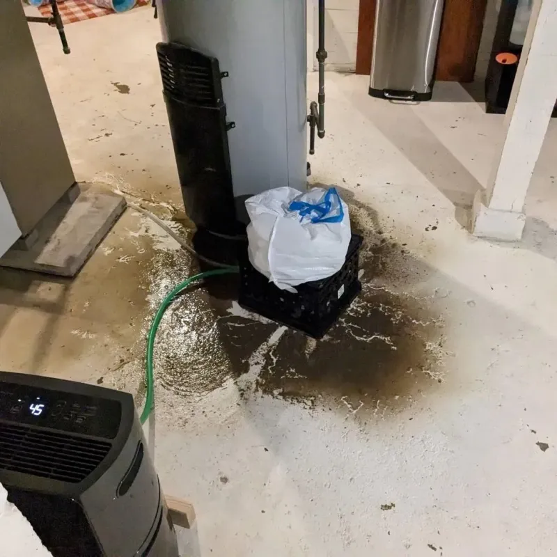 Sewage Backup Cleanup Service in Fairmont, IL